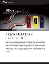 Team Group TSR1316GR01 Datasheet