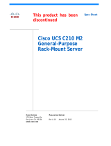 Cisco UCS-SSD100GI1F104= Datasheet