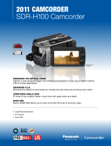 Panasonic SDR-H100S Datasheet