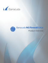 Barracuda Networks BNGIF100A Datasheet