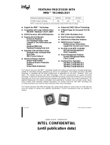 Intel 233 MHz User manual