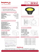 Beyma POWER 10 Datasheet