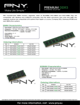 PNY DIM108GBN/10660/3-SB Datasheet