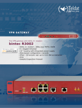 Teldat 5510000211 Datasheet