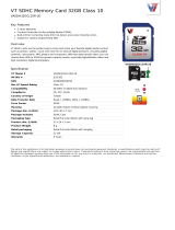 V7 VASDH32GCL10R-2E Datasheet