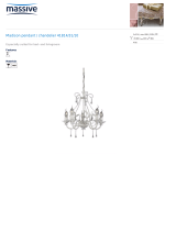 Massive 418143110 Datasheet