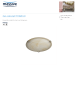 Massive Ceiling light 31913/62/10 Datasheet