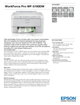 Epson C11CD15301BY Datasheet