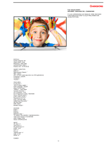 Changhong 49D1000IS Datasheet