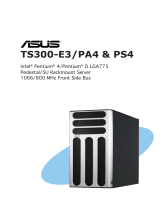 Asus TS300-PA4 User manual