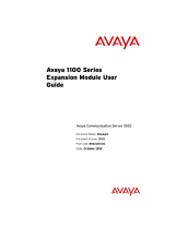 Avaya 1100 Series Expansion Module User guide