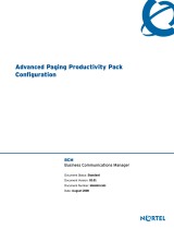 Avaya Advanced Paging Productivity Pack Configuration Configuration manual