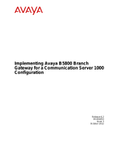 Avaya B5800 Configuration manual