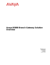 Avaya B5800 Overview