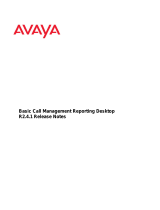 Avaya R2.4.1 Release Notes