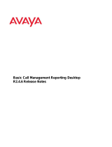 Avaya Basic Call Management System Reporting Desktop Release 2.4.6 Release Notes