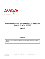 Avaya R1.3 Configuration Guide