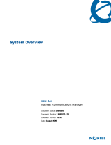 Avaya Business Communications Manager - System Overview