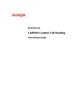Avaya CallPilot Custom Call Routing BCM Rls 6.0 User manual