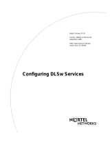 Avaya Configuring DLSw Services User manual