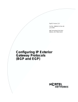 Avaya Configuring IP Exterior Gateway Protocols (BGP and EGP) User manual