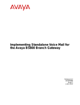 Avaya B5800 User manual