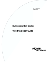 Avaya Multimedia Call Center User manual