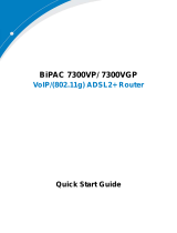 Billion Electric Company BiPAC 7300VGP User manual