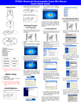 Bluetake Technology BT500 User manual