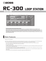 Boss RC-300 User manual