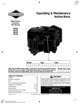 Briggs & Stratton 290700 User manual