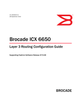 Brocade Communications Systems ICX 6650 User manual