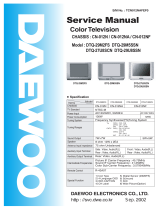 Daewoo DTQ-29U8SSN User manual