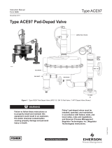 Emerson ACE97 User manual