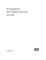 HP 2012i User manual