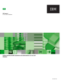 IBM version 9 User manual