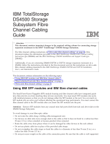 IBM DS4500 User manual