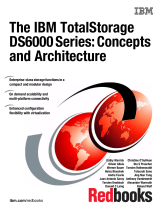 IBM DS6000 Series User manual