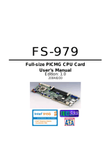 Intel FS-979 User manual