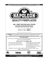 Napoleon Fireplaces GD45-N User manual