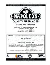 Napoleon Fireplaces GDIZC - N User manual