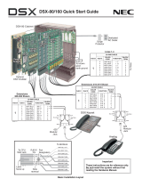NEC DSX-160 User manual