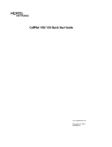 Nortel Networks CallPilot 100 User manual