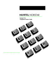 Nortel Norstar ICS User manual