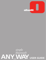Olivetti ANY_WAY simple User manual
