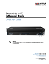 Patton electronic SmartNode 07MSN4400-QS User manual