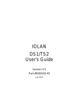 Perle Systems DS1 User manual