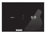 Roland RG-3M User manual