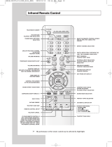 Samsung SP-43R1HL User manual