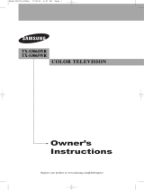 Samsung TX-S3065WR User manual